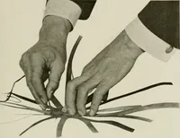 An illustration from Problems in woodwork in combination with other materials for elementary manual training (1917)