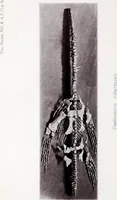 An illustration from Proceedings - Dorset Natural History and Archaeological Society (1889)