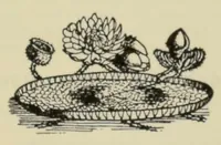 Picture 1 of 14 from Proceedings of the Botanical Society of the British Isles (1596), leaf 5