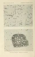 An illustration from Proceedings of the United States National Museum (1878)