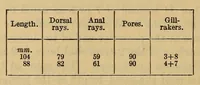 Picture 6 of 8 from Proceedings of the United States National Museum (1878), leaf 546