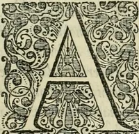 An illustration from Prodomo apologetico alli studi Chircheriani : opera di Gioseffo Petrucci, romano, nella quale con un'apparato di saggi diversi, si dà prova dell' esquisito studio ha tenuto il celebratissimo padre Atanasio Chircher, circa il credere all' opinioni degli scrittori, sì de' tempi andati, come de' presenti, e particolarmente intorno a quelle cose naturali dell' India, che gli furon portate, ò reserte dá quei, che abitarono quelle parti (1677)