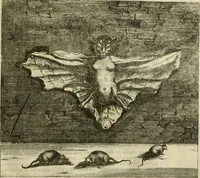 An illustration from Prodomo apologetico alli studi Chircheriani : opera di Gioseffo Petrucci, romano, nella quale con un'apparato di saggi diversi, si dà prova dell' esquisito studio ha tenuto il celebratissimo padre Atanasio Chircher, circa il credere all' opinioni degli scrittori, sì de' tempi andati, come de' presenti, e particolarmente intorno a quelle cose naturali dell' India, che gli furon portate, ò reserte dá quei, che abitarono quelle parti (1677)