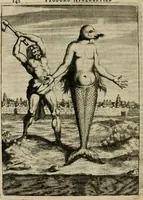 An illustration from Prodomo apologetico alli studi Chircheriani : opera di Gioseffo Petrucci, romano, nella quale con un'apparato di saggi diversi, si dà prova dell' esquisito studio ha tenuto il celebratissimo padre Atanasio Chircher, circa il credere all' opinioni degli scrittori, sì de' tempi andati, come de' presenti, e particolarmente intorno a quelle cose naturali dell' India, che gli furon portate, ò reserte dá quei, che abitarono quelle parti (1677)