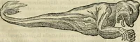 An illustration from Prodomo apologetico alli studi Chircheriani : opera di Gioseffo Petrucci, romano, nella quale con un'apparato di saggi diversi, si dà prova dell' esquisito studio ha tenuto il celebratissimo padre Atanasio Chircher, circa il credere all' opinioni degli scrittori, sì de' tempi andati, come de' presenti, e particolarmente intorno a quelle cose naturali dell' India, che gli furon portate, ò reserte dá quei, che abitarono quelle parti (1677)