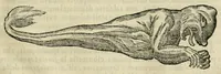 An illustration from Prodomo apologetico alli studi Chircheriani (1677)
