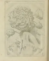 An illustration from Prodomo apologetico alli studi Chircheriani (1677)