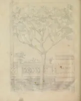 An illustration from Prodomo apologetico alli studi Chircheriani (1677)