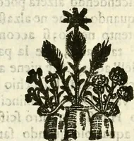An illustration from Prodromo, ouero, Saggio di alcune inuentione nuoue, premesso all'arte maestra (1670)