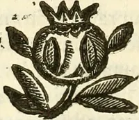 An illustration from Prodromo, ouero, Saggio di alcune inuentione nuoue, premesso all'arte maestra (1670)