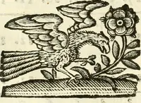 An illustration from Prodromo, ouero, Saggio di alcune inuentione nuoue, premesso all'arte maestra (1670)