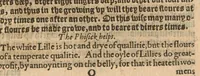 An illustration from The profitable arte of gardening : to which is added much necessarie matter, and a number of secrets, with the phisicke helps belonging to each hearbe, and that easily prepared : to this is annexed two proper treatises, the one entituled, The meruailous gouernment, propertie, and benefite of bees, with the rare secretes of the honnie and waxe ; and the other, The yerely coniectures meete for husbandmen ; to these is likewise added a Treatise of the arte of graffing and planting of trees (1593)
