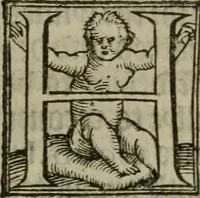An illustration from A profitable and necessarye doctryne : with certayne homelies adioyned therunto (1555)