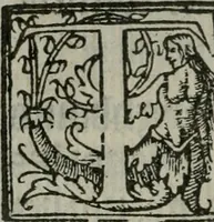 An illustration from A profitable and necessarye doctryne : with certayne homelies adioyned therunto (1555)