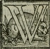 An illustration from A profitable and necessarye doctryne : with certayne homelies adioyned therunto (1555)