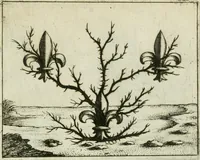 Picture 5 of 47 from Prognosticatio eximii doctoris Theophrasti Paracelsi (1500), leaf 14