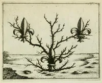 Picture 6 of 47 from Prognosticatio eximii doctoris Theophrasti Paracelsi (1500), leaf 15