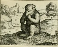 An illustration from Prognosticatio eximii doctoris Theophrasti Paracelsi (1500)