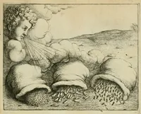 Picture 28 of 47 from Prognosticatio eximii doctoris Theophrasti Paracelsi (1500), leaf 47