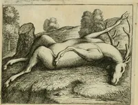 An illustration from Prognosticatio eximii doctoris Theophrasti Paracelsi (1500)