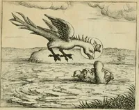 Picture 31 of 47 from Prognosticatio eximii doctoris Theophrasti Paracelsi (1500), leaf 52