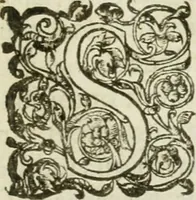 Picture 2 of 47 from Prognosticatio eximii doctoris Theophrasti Paracelsi (1500), leaf 6