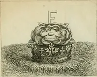 Picture 37 of 47 from Prognosticatio eximii doctoris Theophrasti Paracelsi (1500), leaf 62
