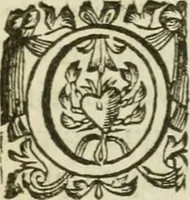 An illustration from Prognosticatio eximii doctoris Theophrasti Paracelsi (1500)