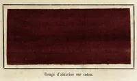 Picture 7 of 9 from Progrès de l'industrie des matières colorantes artificielles (1876), leaf 195