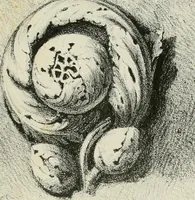 Picture 7 of 19 from Progress in art and architecture : with precedents for ornament (1852), leaf 74