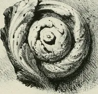 An illustration from Progress in art and architecture : with precedents for ornament (1852)