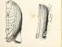 An illustration from The progressive drawing-book : containing a series of easy and comprehensive lessons for drawing landscape, architecture, the human figure, shipping, and animals, &c. without the aid of a master : also, a complete treatise on perspective, with nearly three hundred engravings (1853)