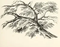 An illustration from The progressive drawing-book : containing a series of easy and comprehensive lessons for drawing landscape, architecture, the human figure, shipping, and animals, &c. without the aid of a master : also, a complete treatise on perspective, with nearly three hundred engravings (1853)