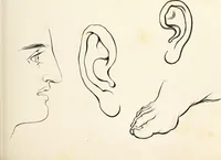 An illustration from The progressive drawing-book : containing a series of easy and comprehensive lessons for drawing landscape, architecture, the human figure, shipping, and animals, &c. without the aid of a master : also, a complete treatise on perspective, with nearly three hundred engravings (1853)