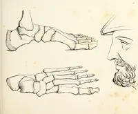 An illustration from The progressive drawing-book : containing a series of easy and comprehensive lessons for drawing landscape, architecture, the human figure, shipping, and animals, &c. without the aid of a master : also, a complete treatise on perspective, with nearly three hundred engravings (1853)
