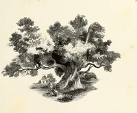 An illustration from The progressive drawing-book : containing a series of easy and comprehensive lessons for drawing landscape, architecture, the human figure, shipping, and animals, &c. without the aid of a master : also, a complete treatise on perspective, with nearly three hundred engravings (1853)