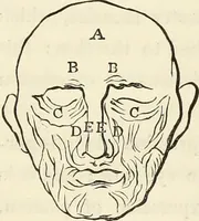 An illustration from The progressive drawing-book : containing a series of easy and comprehensive lessons for drawing landscape, architecture, the human figure, shipping, and animals, &c. without the aid of a master : also, a complete treatise on perspective, with nearly three hundred engravings (1853)