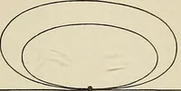 An illustration from Projective geometry (1910)