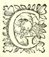 Picture 2 of 9 from Prologhi di Domenico Bruni, detto Fuluio, comico di Madama sereniss. principessa di Piemonte (1623), leaf 9