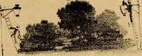 Picture 57 of 61 from Promenade charivarique au Salon de Bruxelles 1845 (1845), leaf 64