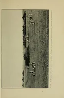 An illustration from Promenades lointaines Sahara, Niger, Tombouctou, Touareg (1905)