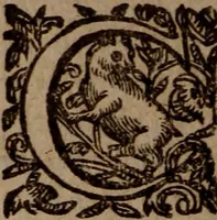 An illustration from Promptuarium morale super evangelia dominicalia totius anni : Ad Instructionem Concionatorum, Ad Reformationem Peccatorum, Ad Consolationem Piorum; Ex Sacris Scripturis, SS. Patribus, et optimis quibusque authoribus studiose collectum (1592)
