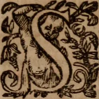 Picture 17 of 22 from Promptuarium morale super evangelia dominicalia totius anni : Ad Instructionem Concionatorum, Ad Reformationem Peccatorum, Ad Consolationem Piorum; Ex Sacris Scripturis, SS. Patribus, et optimis quibusque authoribus studiose collectum (1592), leaf 494