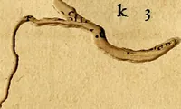 An illustration from Prontvario de le medaglie de piv illvstri, & fulgenti huomini & donne, dal pricipio del mondo insino al presente tempo.. (1553)