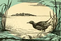 An illustration from The properties of the National Trust for places of historic interest or natural beauty in Northern Ireland / National Trust in Northern Ireland ; introduction by the Earl of Antrim (1900)
