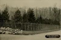 Picture 31 of 104 from Property protection and ornamentation : (1920), leaf 20