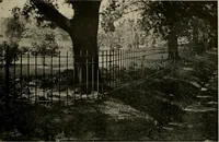An illustration from Property protection and ornamentation : (1920)