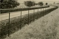 Picture 62 of 104 from Property protection and ornamentation : (1920), leaf 38