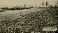 Picture 70 of 104 from Property protection and ornamentation : (1920), leaf 43