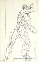 Picture 4 of 11 from Proportien der menschelyke lichamen, vertoont in zes en twintig afbeeldingen, zoo van mannen, vrouwen, als kinderen, &c. : alle met de maat van ieder deel daar by gestelt : na de voortreffelykste en allerschoonste antique beelden, leaf 17